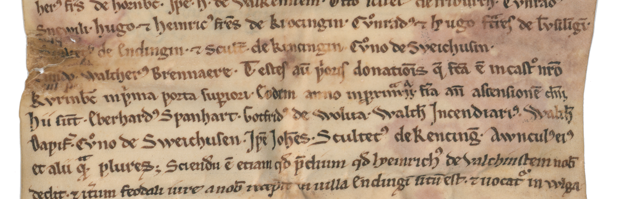 Ausschnitt der Urkunde vom 16. November 1219